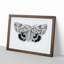 Underwing Moth by S.F. Denton - Picture Frame Painting Print-55604982-55604987