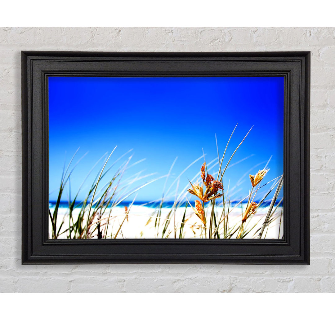 Gerahmtes Wandbild Clear Beach Sky