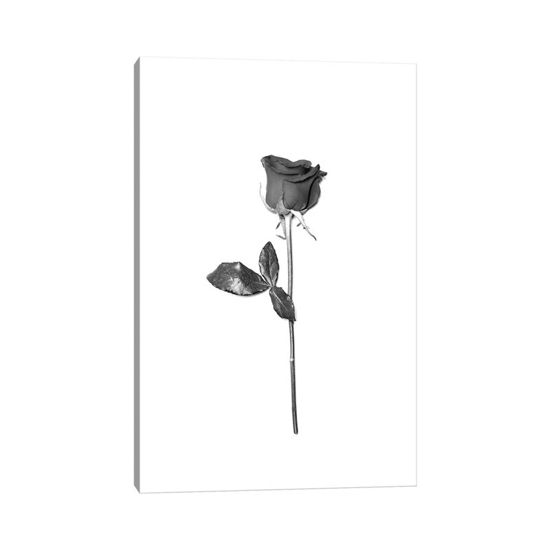 Simplicity by Honeymoon Hotel - Wrapped Canvas Print, 20.32 cm H x 30.48 cm W