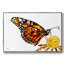 Wings I, reproduction d'art sur toile-93398534-93398536