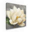 « magnolia fleur on gray », reproduction de peinture à l’acrylique sur toile tendue-25680361