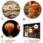 «Vietnam Hoi An Lanterns I», reproduction sur métal-152294965
