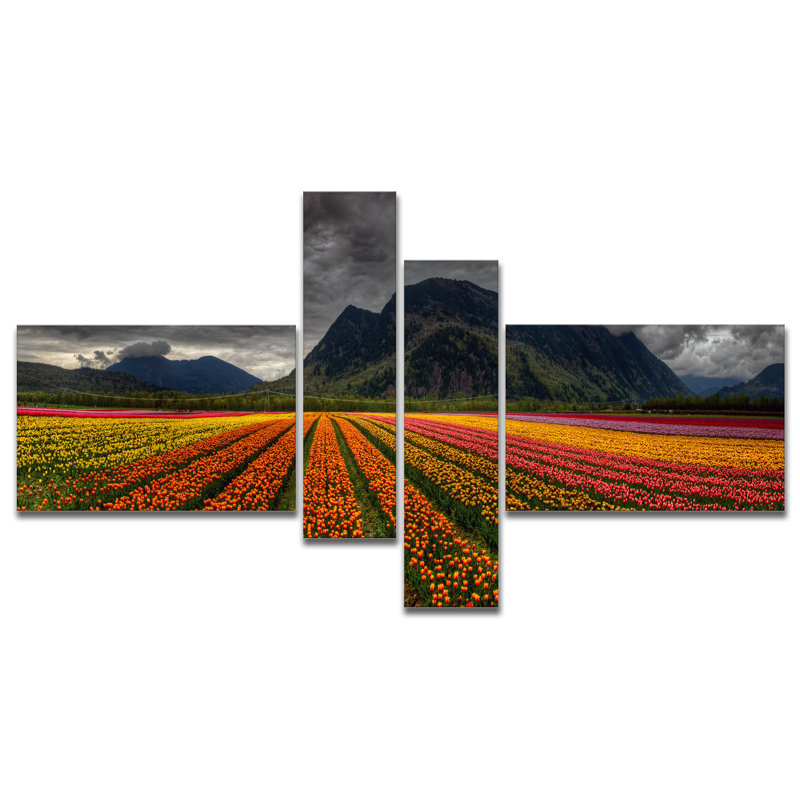 " Beautiful Coloured Tulips Panorama " 4 - Pieces