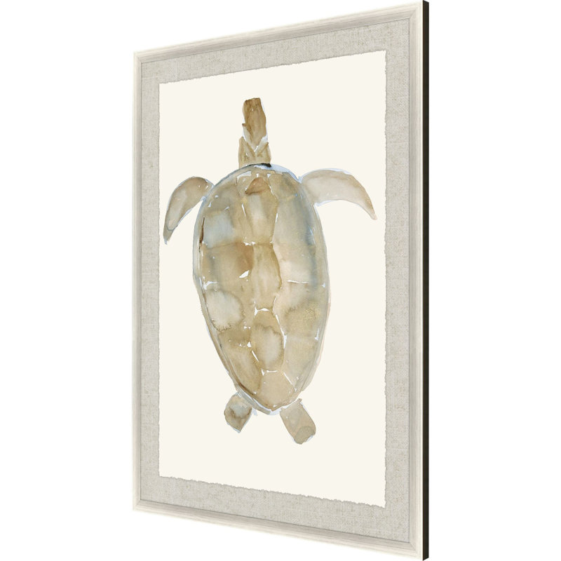 Tortue neutre I