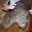 Photos des clients 2 de 2