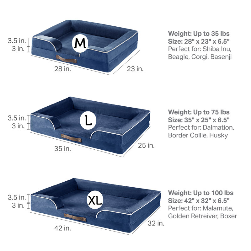 Lit orthopédique pour animaux Canvey, (Grand) l 35 po x P 25 po x H 6,5 po, Bleu marine