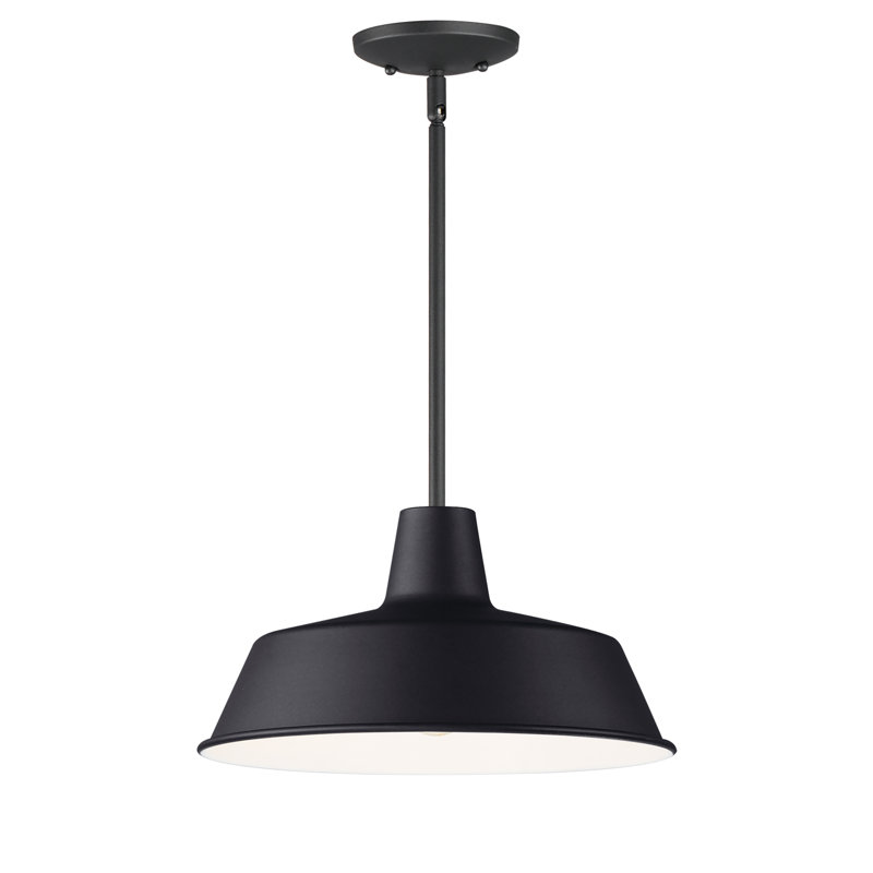 Luminaire suspendu d'extérieur Jorgie, Noir
