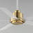 Isobel 60'' Ceiling Fan with LED Lights