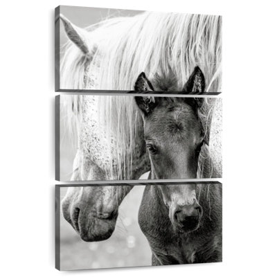 Brampt The Foal And Horse