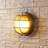 Delacour Wall Light
