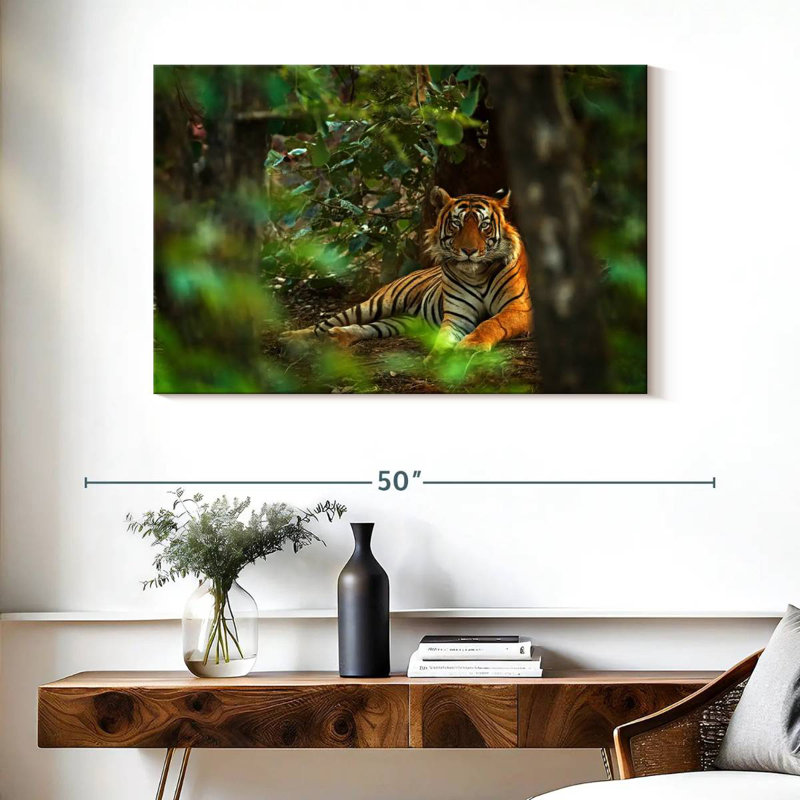 Brampt Indian Tiger