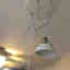 Photos des clients 2 de 2