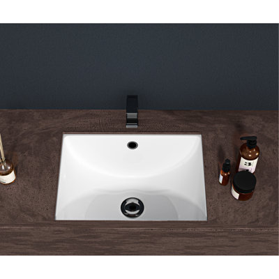 20.08"X15" Ceramic Undermount Sink With Overflow - Stain , Polished, For Bathroom Redesigns Modern White 20.08X15x7.6, To Stains, Decor