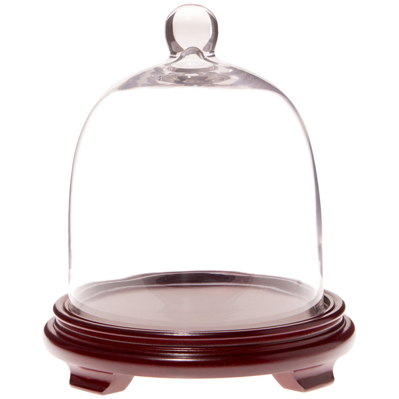 7.875" x 9.5" Bell Jar Glass Display Dome Cloche, Red Wood Veneer Base