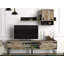 Biu TV Stand for TVs up to 55"