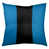 Bleu / Noir
