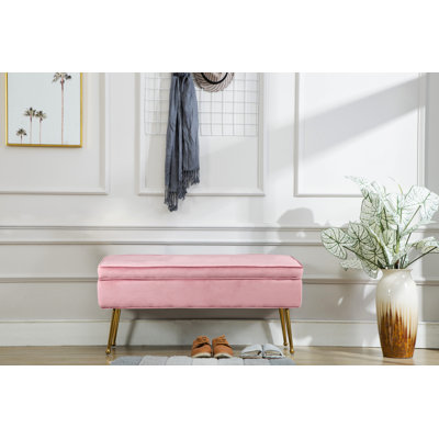 Garysburg Velvet Upholstered Storage Bench