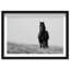 Lone Stallion I Print by Oliver Gal-260064191-260064182