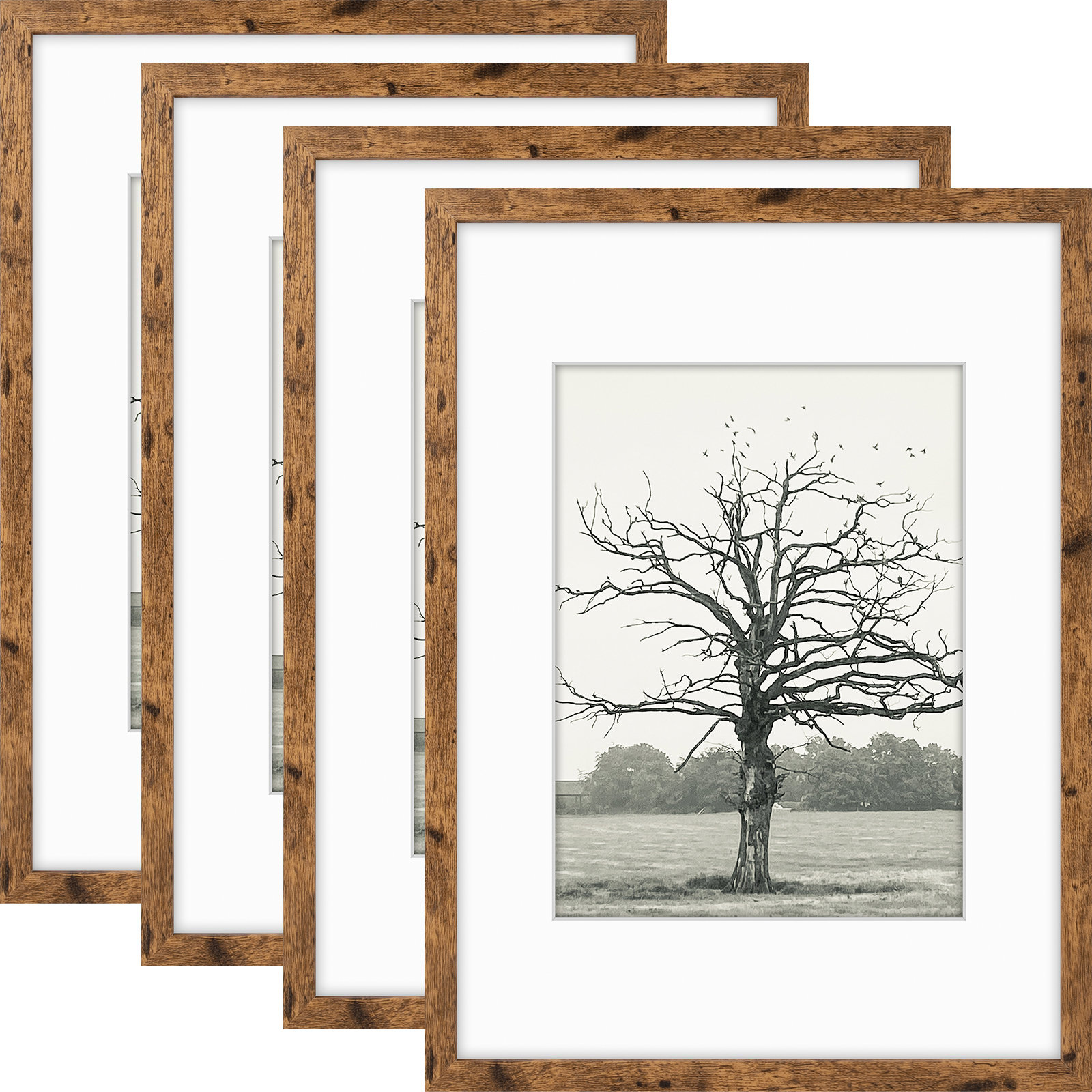 Gracie Oaks Picture Frame Wall Set with Polished Plexiglass & Reviews | Wayfair