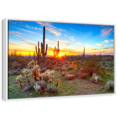 Sonoran Desert Sunset Landscape