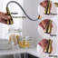 Fairmont Park Nerbone Pull Out Kitchen Faucet