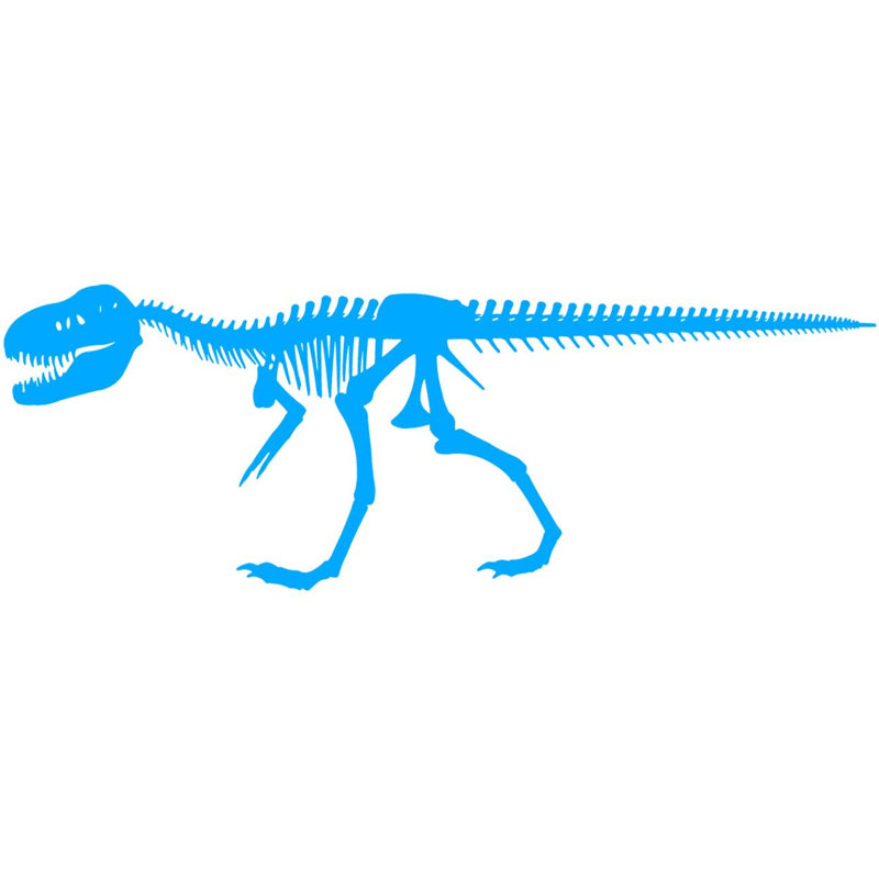 Adhésif décoratif squelette de dinosaure Alvie, H 18 po x l 50 po x P 0,01 po, Bleu ciel