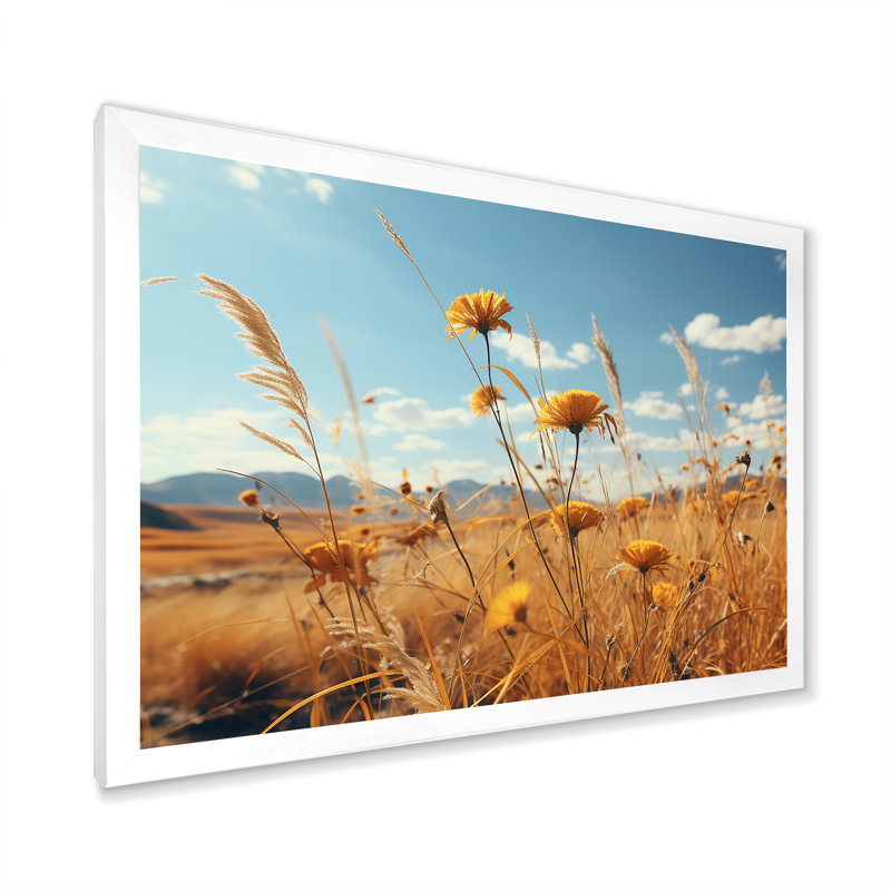 Coucher de soleil, fleurs d'été, prés, Cadre simple blanc, H 34 po x l 44 po x P 1,5 po