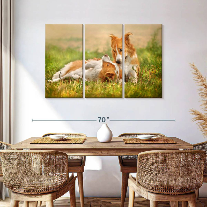 Brampt Border Collie Playtime, 36" H x 57" W
