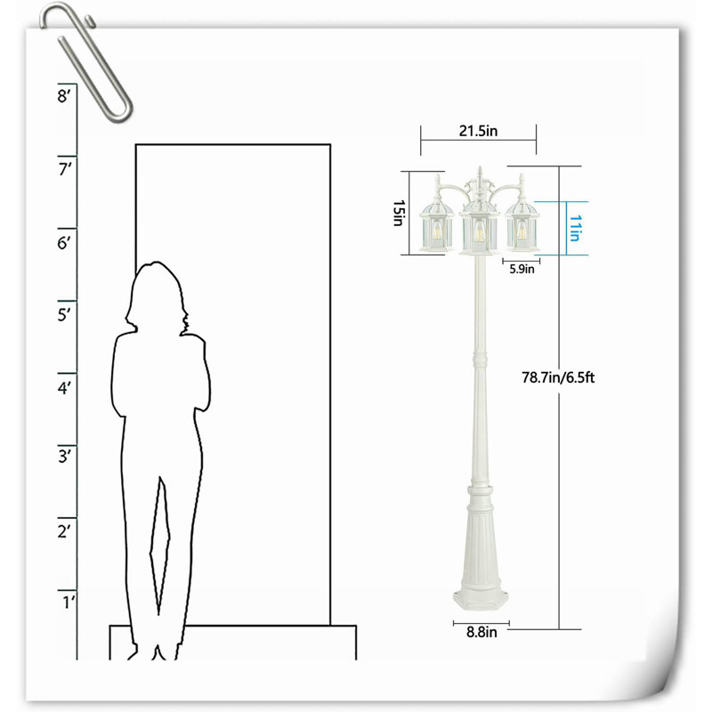Cyntoria Transparent Lamp Post (Full)