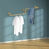 Alcina 71'' Metal Wall Mounted Clothes Rack