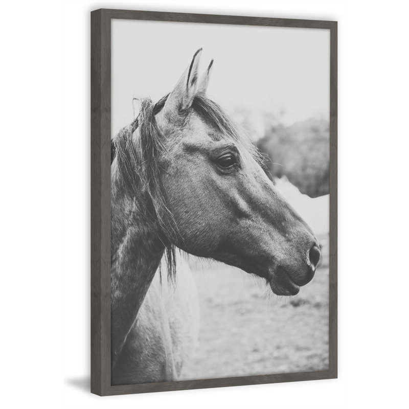 Brooklyn Bound Wild Heart by Ann Barnes - Single Picture Frame Print, 91cm H x 61cm W x 4cm D