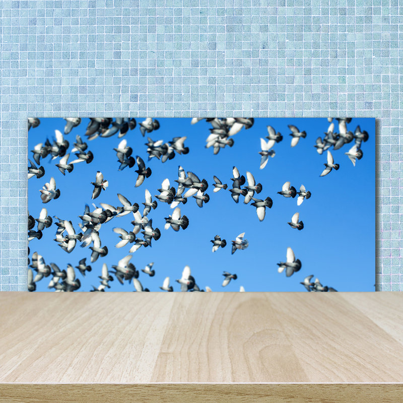 Liubov A Flock of Pigeons 50cm x 100cm Glass Panel