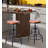 Darlean Swivel Adjustable Height Counter Stool with Metal Frame
