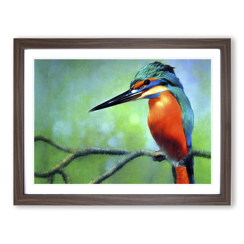 Great Kingfisher Bird 1 Piece Single Picture Frame Painting, 25cm H x 34cm W x 2cm D, Walnut