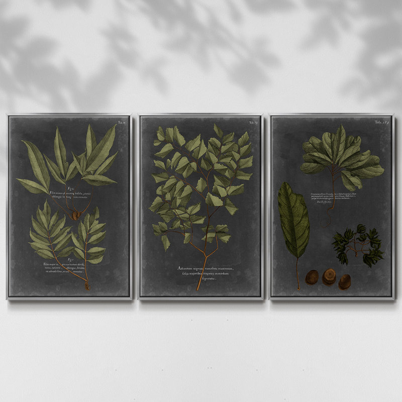 «Foliage Dramatique IV», ensemble de 3 reproductions de photos sur toile, H 40 po x l 78 po, Argent