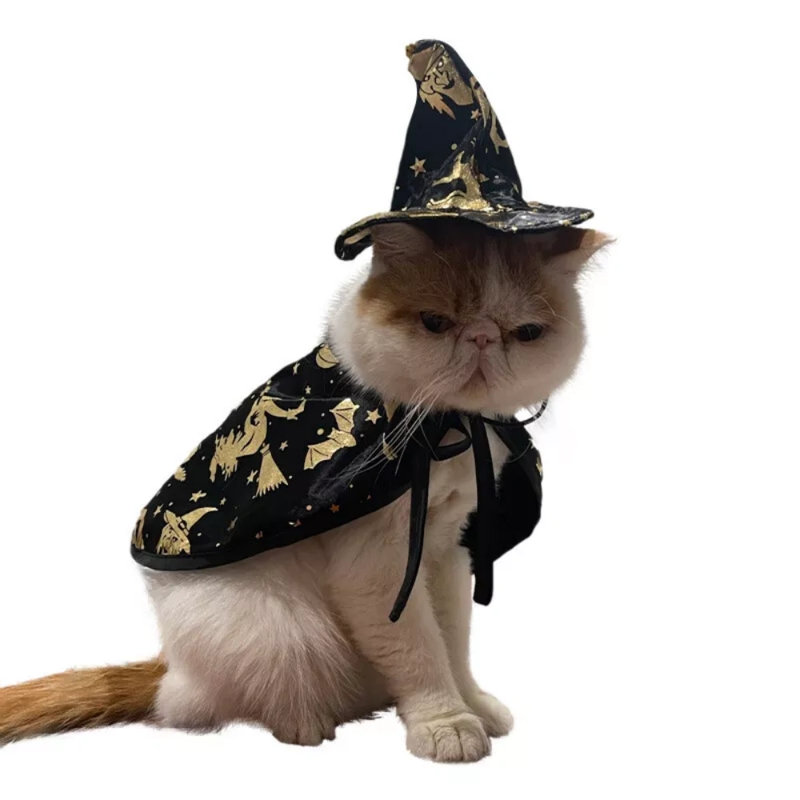 Chien, chat, déguisement d'Halloween, costume de sorcier, cape, sorcière, chapeau