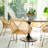 Amherst 17.5'' H Side Chair