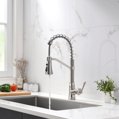 FLG Kitchen Faucet