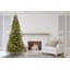 Sapin de Caroline Fraser éclairé par Forevertree-41410837