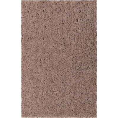 Indoor Rug
