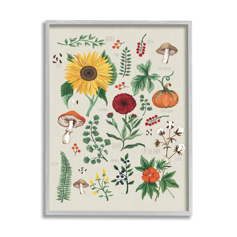 Bb-316-Botanical and Seeds Study encadré sur bois par Sharon Lee, reproduction, Estampe numérique Farmhouse