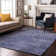 Cerrito Area Rug with Non-Slip Backing