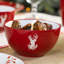 Stoneware Dinnerware Set 12 Piece - Service for 4-1943573345