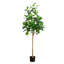 7 pi Ficus Audrey artificiel-1619356195