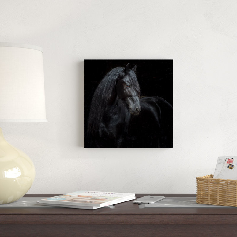 Équine Portrait X. par P.H. Burchett - Photographie sur toile tendue, H 12 po x l 12 po