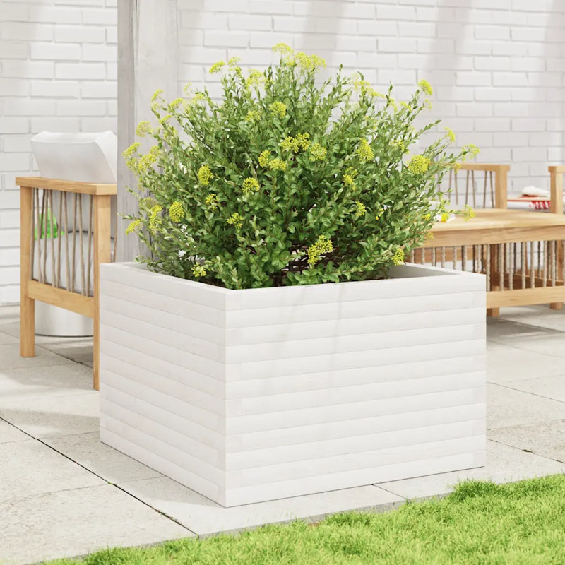 2 Wood Planter, White, 46cm H x 70cm W x 70cm D