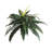 22" Artificial Fern Plant no basket-114511181