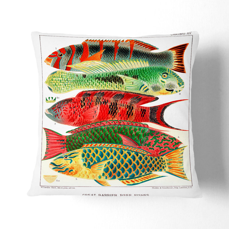 Square Throw Cushion, 55cm H x 55cm W x 20cm D