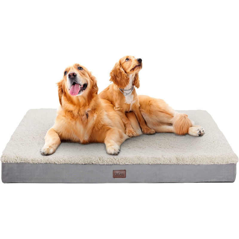 Lit orthopédique pour animaux en coton ToccoLeggero, Beige, Très très grand (l 32 po x P 44 po x H 3 po)