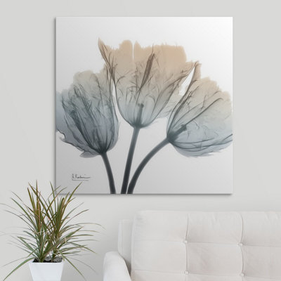 Manigault 'Earthy Tulips by Kiranjit Photographic Print